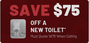 New Toilet Discount in Fredericksburg*